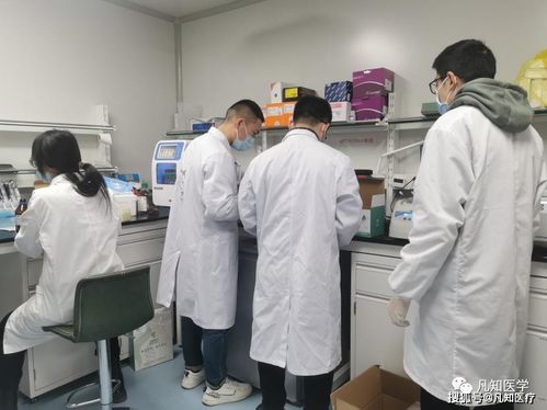 恭喜凡知醫(yī)學榮獲“專精特新”企業(yè)認定 技術創(chuàng)新引領行業(yè)推廣
